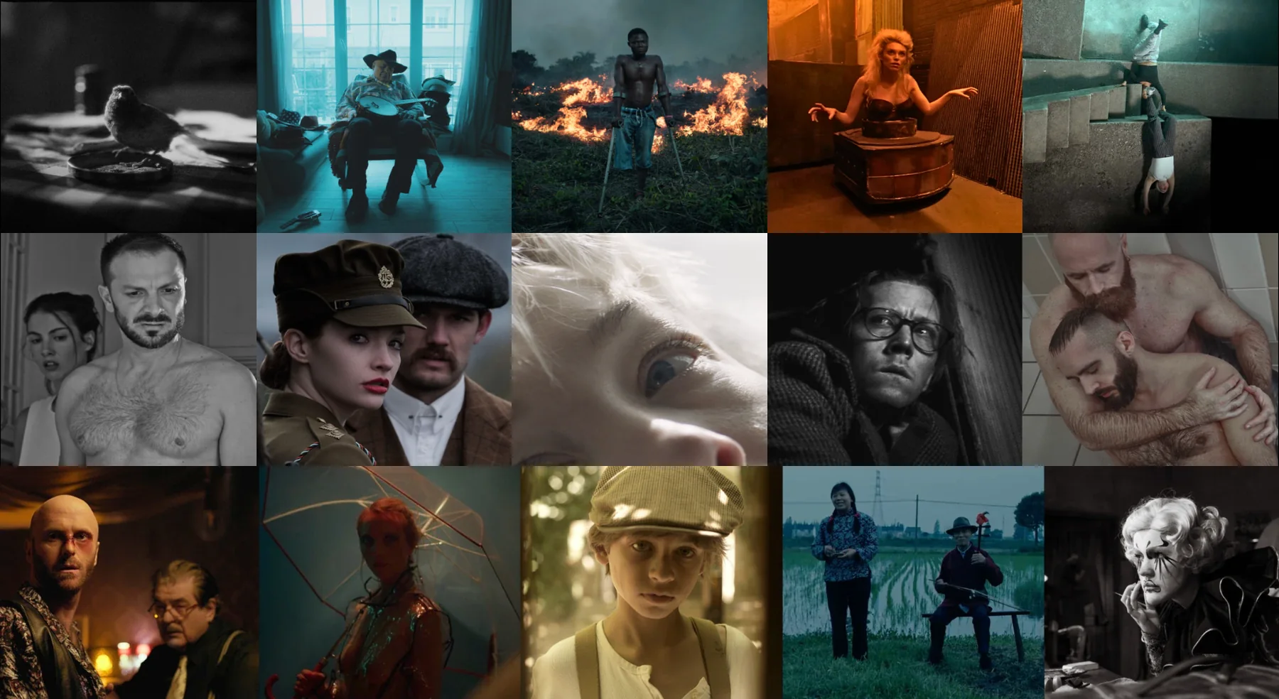 Past Film Art Gallery and CLIMAX vExhibition imagery montage